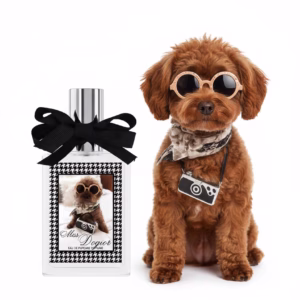 Miss Dogior Perfume