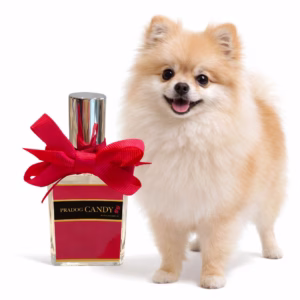 Pradog Candy Perfume