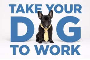 National Take Your Dog to Work Day